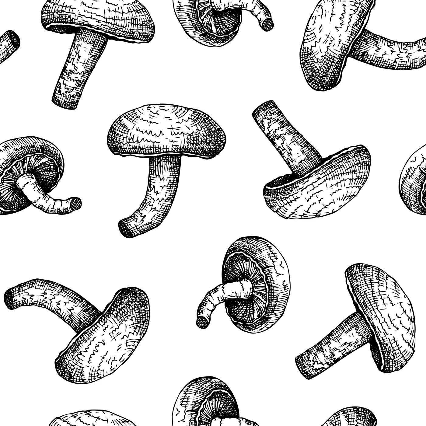 Shiitake mushrooms background. Adaptogenic plants hand-sketched seamless pattern. Medicinal mushroom sketches. Perfect for cooking, traditional medicine, vegans. Botanical backdrop in vintage style Illustration